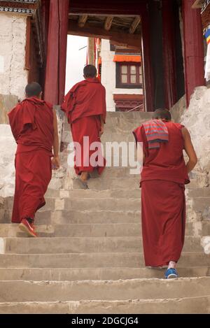 Mönche steigen auf. Diskit Kloster auch bekannt als Deskit Gompa oder Diskit Gompa ist das älteste und größte buddhistische Kloster im Nubra Tal. Es gehört zur Gelugpa-Sekte des tibetischen Buddhismus. Ladakh, Jammu und Kaschmir, Indien Stockfoto