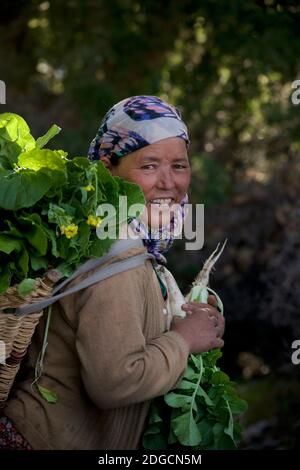 Frau aus dem Nubra Valley mit Produkten wie Rüben, Diskit Dorf, Nubra Valley, Ladakh, Jammu und Kaschmir, Indiang Stockfoto