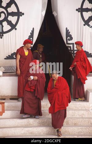 Am frühen Morgen im Hemis Kloster. Mönche draußen, die den Gebetsraum verlassen. Hemis, Ladakh, Jammu und Kaschmir, Indien. Auf dem Stoffschirm am Eingang befindet sich das Dharmachakra - ein typisches Dharma-Rad mit acht Speichen - das den Achtfachen Pfad repräsentiert - das älteste, universelle Symbol für den Buddhismus. Stockfoto