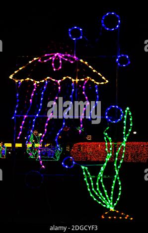 Weihnachtslichter zeigen eine Qualle während einer Feiertagsfeier im Jones Park am 5. Dezember 2020 in Gulfport, Mississippi. Stockfoto