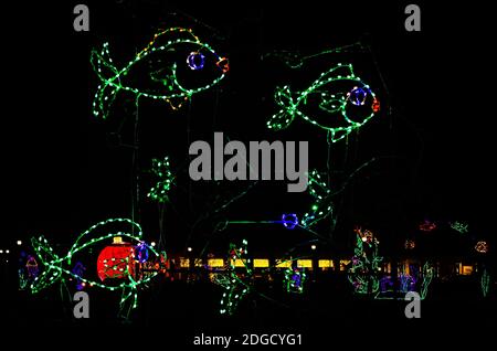 Weihnachtslichter zeigen eine Fischschule während einer Feiertagsfeier im Jones Park am 5. Dezember 2020 in Gulfport, Mississippi. Stockfoto