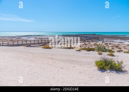 Holzsteg am Hamelin Pool für die Aussicht auf Stromatolithen, Australien Stockfoto