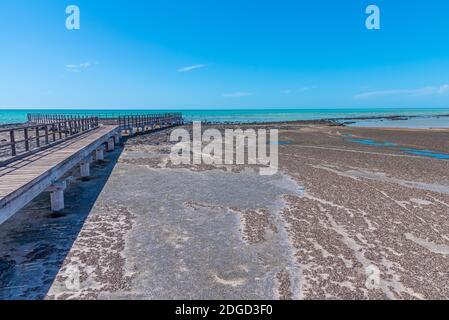 Holzsteg am Hamelin Pool für die Aussicht auf Stromatolithen, Australien Stockfoto