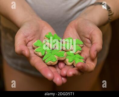 Fünf wunderschöne Kleeblatt Kuchen mit grünen Mastix köstliche und leichte Snacks St. Patrick's Day bedeckt Stockfoto