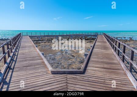 Holzsteg am Hamelin Pool für die Aussicht auf Stromatolithen, Australien Stockfoto