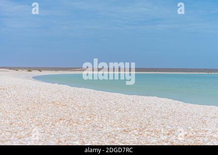 Shell Beach im Francois Peron Nationalpark in Australien Stockfoto