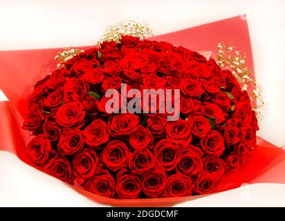 Rote Rosen in einem riesigen schönen Strauß für den Urlaub, natürlicher Hintergrund von natürlichen roten Rosen Stockfoto