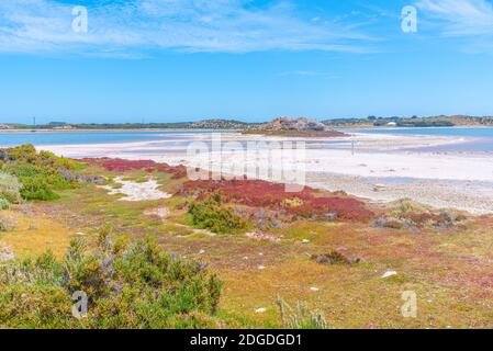 Salzseen auf der Insel Rottnest in Australien Stockfoto