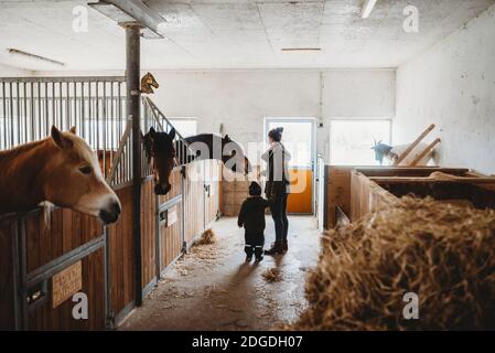 Mutter und Kind füttern ein Pferd in einem Stall an Bauernhof im Winter Stockfoto