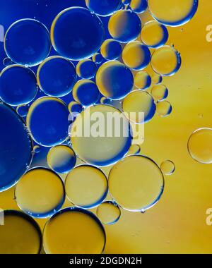 Abstraktes Makro-Bild von bunten Öltropfen Kreise im Wasser. Stockfoto