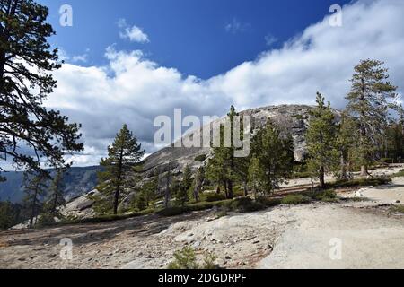 Ein Blick auf den Schwanz, der zum Sentinel Dome entlang der Glacier Point Road im Yosemite National Park, Kalifornien, USA führt. Alpine Bäume auf dem felsigen Boden. Stockfoto