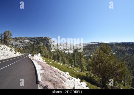 Tioga Pass Road durch die Sierra Nevada Bergkette im Yosemite National Park, Kalifornien. Blauer Himmel, Granitfelsen und alpine Bäume. Stockfoto