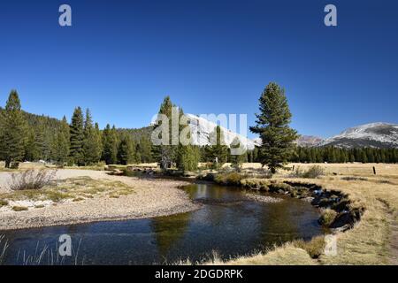 Blick auf die Tuolumne Wiesen im Herbst/Herbst mit Lembert Dome und dem Tuolumne Fluss, umgeben von gelbem Gras. Yosemite National Park, Kalifornien. Stockfoto