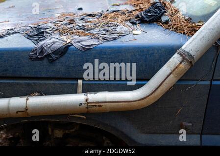 Weggeworfene oder vergessene alte kaputte Auto aufgegeben Problem Frontdiesel Rohr auf Pickup-LKW in Wald bedeckt Blätter Natur Detail Gespräch Stockfoto