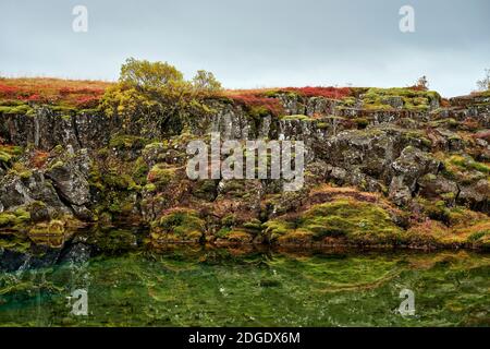 Malerische Landschaft der felsigen Seenküste von herbstlichen Pflanzen bedeckt In Island Stockfoto