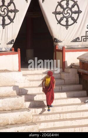 Am frühen Morgen im Hemis Kloster. Ein junger Novizenmönch am Eingang des Gebetshauses. Auf dem Stoffschirm am Eingang oben befindet sich das Dharmachakra - ein typisches Dharma-Rad mit 8 Speichen, die den Achtfachen Pfad repräsentieren - das älteste, universelle Symbol für Buddhismus. Hemis Kloster, Hemis, Ladakh, Jammu und Kaschmir, Indien. Stockfoto