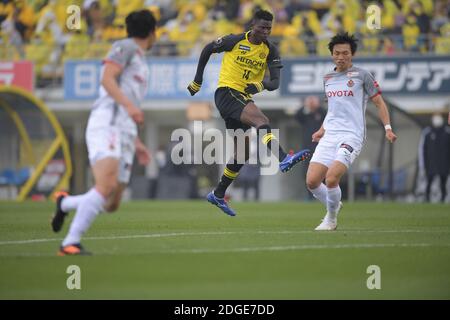 Michael Olunga (14) von Kashiwa Reysol während des 2020 J.LEAGUE Division 1 Fußballmatches zwischen Kashiwa Reysol 0-1 Nagoya Grampus im Sankyo Frontier Kashiwa Stadium am 5. Dezember 2020 in Kashiwa, Chiba, Japan. Quelle: FAR EAST PRESS/AFLO/Alamy Live News Stockfoto