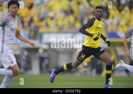 Michael Olunga (14) von Kashiwa Reysol während des 2020 J.LEAGUE Division 1 Fußballmatches zwischen Kashiwa Reysol 0-1 Nagoya Grampus im Sankyo Frontier Kashiwa Stadium am 5. Dezember 2020 in Kashiwa, Chiba, Japan. Quelle: FAR EAST PRESS/AFLO/Alamy Live News Stockfoto