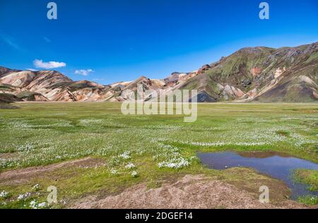 Berge und Felsen von Landmannalaugar, Island an einem sonnigen Tag Stockfoto