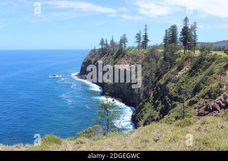 Norfolk Island, Grabstone Reserve, Norfolk Island Reserves & Forestry. Stockfoto