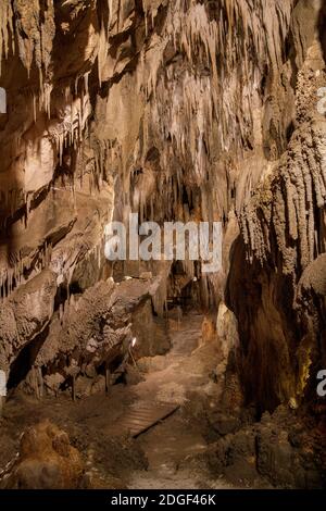 Inside the Ngarua Caves, Takaka Hills, Nelson Tasman, Neuseeland, Samstag, 21. November 2020. Stockfoto