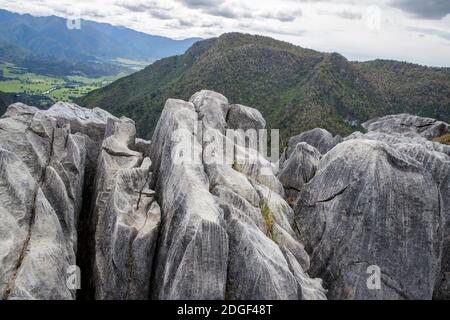 Gorge Creek Lookout, Harwoods Hole Track, Abel Tasman National Park, Nelson, Tasman, Neuseeland, Samstag, 21. November 2020. Stockfoto