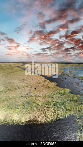 Luftaufnahme von Creek und Sümpfe in den Florida Everglades, USA Stockfoto