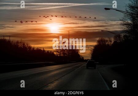 Auto auf der Straße früh am Morgen mit Sonnenaufgang. Stockfoto