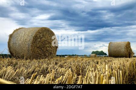 Über dem Heufeld im Raum Kempen, Belgien, ragt ein Sommersturm Stockfoto