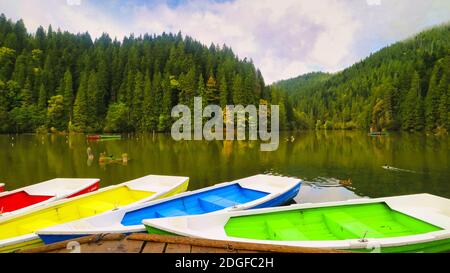 Lacu Rosu, Red Lake, Karpaten, Moldawien, Rumänien Stockfoto