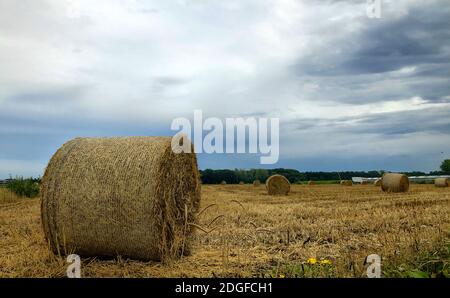 Über dem Heufeld im Raum Kempen, Belgien, ragt ein Sommersturm Stockfoto