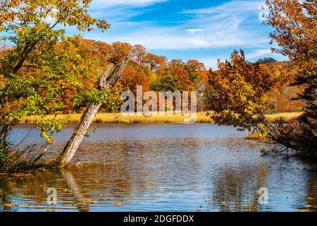 Schöne Aussicht auf bunte Laub der Herbstsaison in Onuma Teich Stockfoto