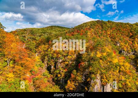 Schöne Farbe des Herbstlaubes im Wald der Berg Stockfoto