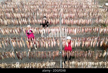 Fischer trocknen Fische in einem Hof in der Stadt Rongcheng, ostchinesische Provinz Shandong, 27. November 2020. Stockfoto