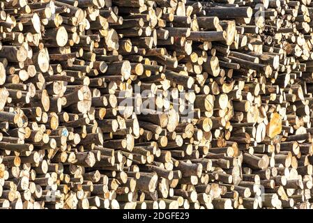 Holzstücke nach dem Schneiden Stockfoto