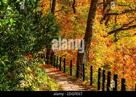 Schöne Landschaft am Onuma Teich Wanderweg Stockfoto