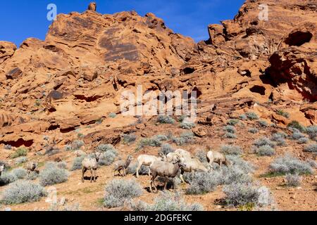 Wunderschöne Felsformationen Im Amerikanischen Südwesten Stockfoto