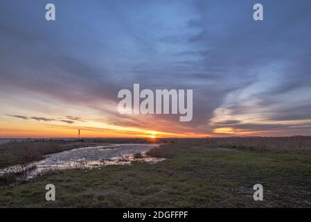Am Wattenmeer Stockfoto
