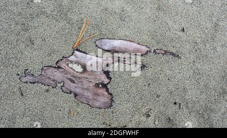 Eine gefundene Anordnung von Treibholz mit einem Spray von Kiefernnadeln auf dem grauen Vulkansand von Te Horo Beach, NZ Stockfoto