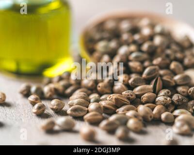Hanfsamen und Hanföl, kopieren Raum Stockfoto