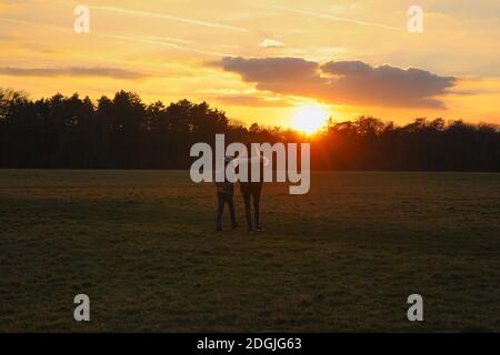 Ein Junge und Mädchen ist zu Fuß und Blick auf erstaunliche und schöne Sonnenuntergang, mit Baum im Hintergrund, Silhouette. Stockfoto