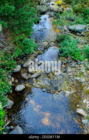 Frankreich, Ardeche (07), regionaler Naturpark von Monts d'Ardèche, Mont Gerbier-de-Jonc (1551 m), die Quellen der Loire Stockfoto