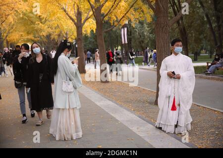 Die beste Zeit, um die Herbstlandschaft des Beijing Ditan Park zu genießen kommt, Ginkgo Blätter alle gelb, viele Touristen kommen zu besuchen und pH nehmen Stockfoto