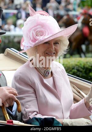 Camilla, die Herzogin von Cornwall, kommt am ersten Tag des Royal Ascot Meeting 2016 auf der Ascot Racecourse, Berkshire. Bild Kredit sollte Doug Peters / EMPICS Entertainment lesen Stockfoto