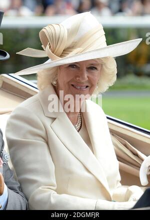 Camilla, Herzogin von Cornwall kommt am zweiten Tag des Royal Ascot Meeting 2016 auf der Ascot Racecourse, Berkshire an. Bild Kredit sollte Doug Peters / EMPICS Entertainment lesen Stockfoto