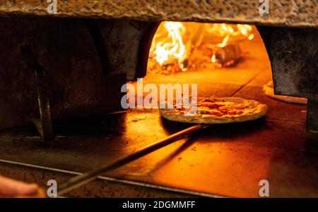 Eine Pizza wird in einen Holzofen gestellt Ein Restaurant in Rom Stockfoto