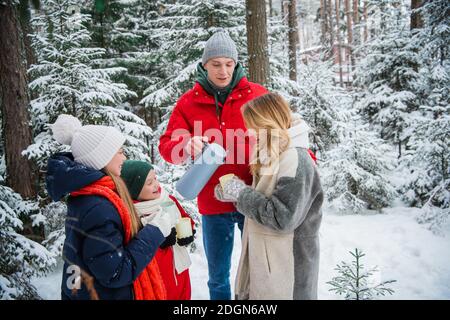 Eine gesunde, freundliche Familie verbringt aktiv ein Wochenende in der Natur, im Winter Fichtenwald bei schönem Schneefall und genießt heißen Tee aus Wanderbechern Stockfoto