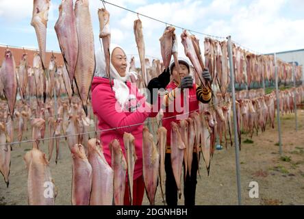 Fischer trocknen Fische in einem Hof in der Stadt Rongcheng, ostchinesische Provinz Shandong, 27. November 2020. Stockfoto