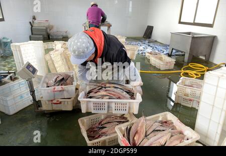 Fischer trocknen Fische in einem Hof in der Stadt Rongcheng, ostchinesische Provinz Shandong, 27. November 2020. Stockfoto