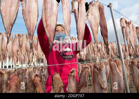 Fischer trocknen Fische in einem Hof in der Stadt Rongcheng, ostchinesische Provinz Shandong, 27. November 2020. Stockfoto